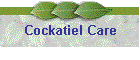Cockatiel Care